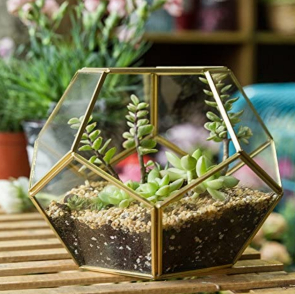 Gold geometric glass terrarium
